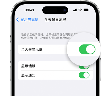 丽水苹果15预约维修分享iPhone15如何设置全天候显示屏幕可见 