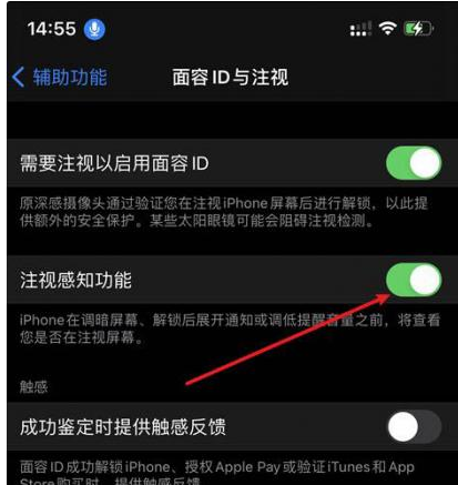 丽水苹果14维修网点分享iPhone14注视感知功能有什么用 